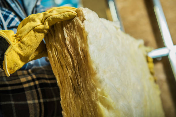 Best DIY Insulation Kits and Guidance in Pace, FL