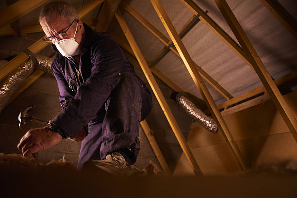 Best Commercial Insulation in Pace, FL
